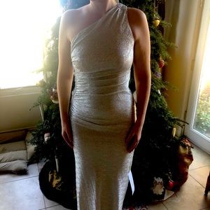 Silver Cache Dress